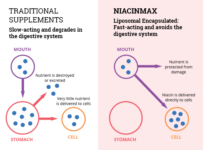 NiacinMax: 45 φορές πιο αποτελεσματική από οποιοδήποτε συμπλήρωμα Νιασίνη